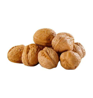 Walnut with Shell